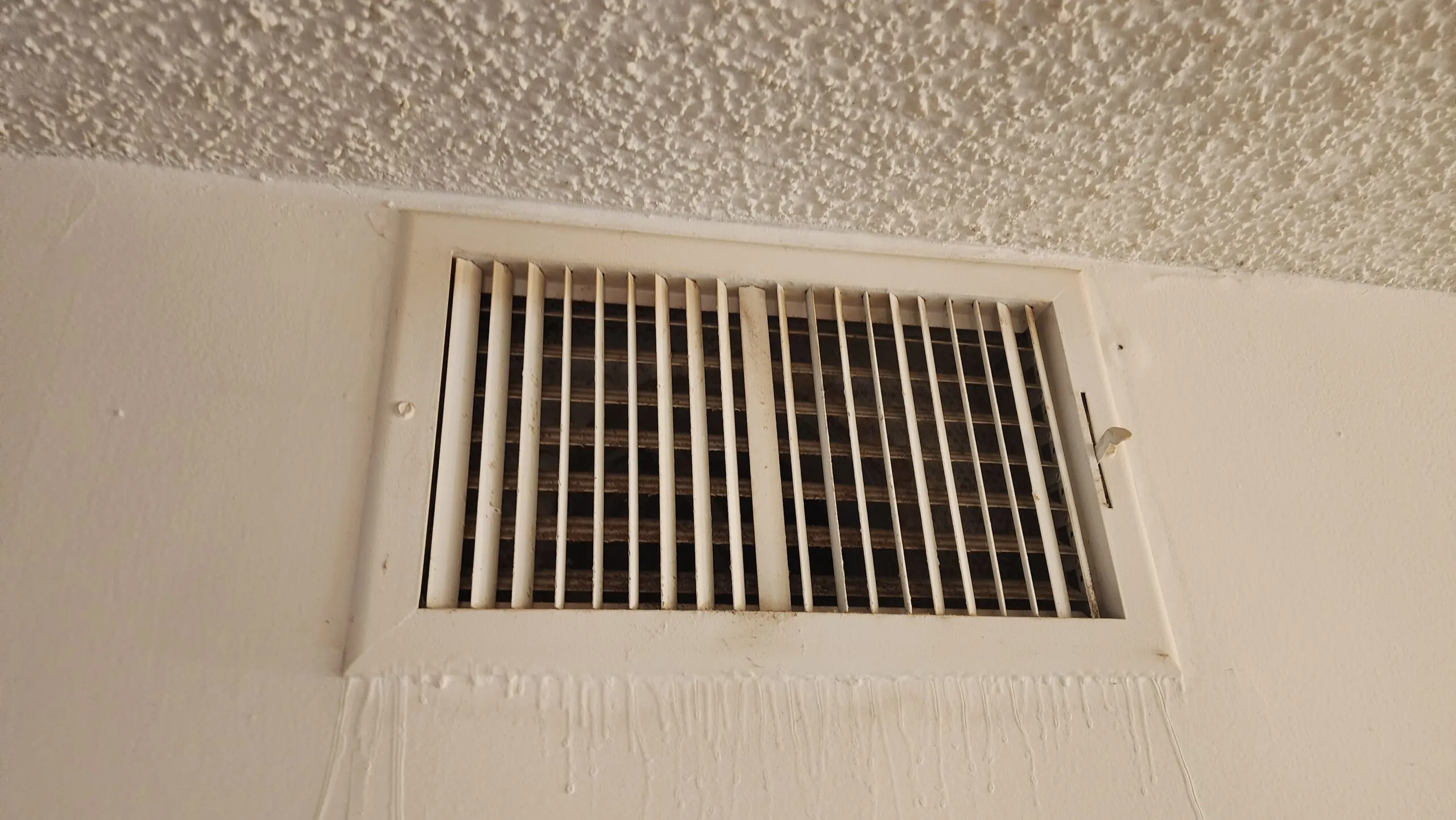 imgi_1_20240830_104355-scaled